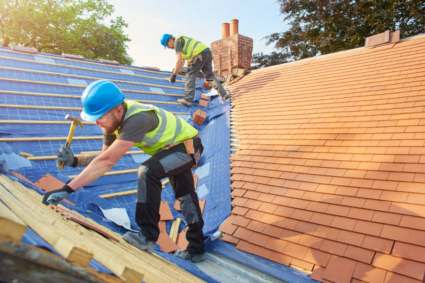 Best Gutter Installation and Repair  in Mexico, MO